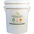 Bcg GreenSorb GS25, Eco-Friendly Sorbent, Clay, 25 Lb Bucket BCGGS25